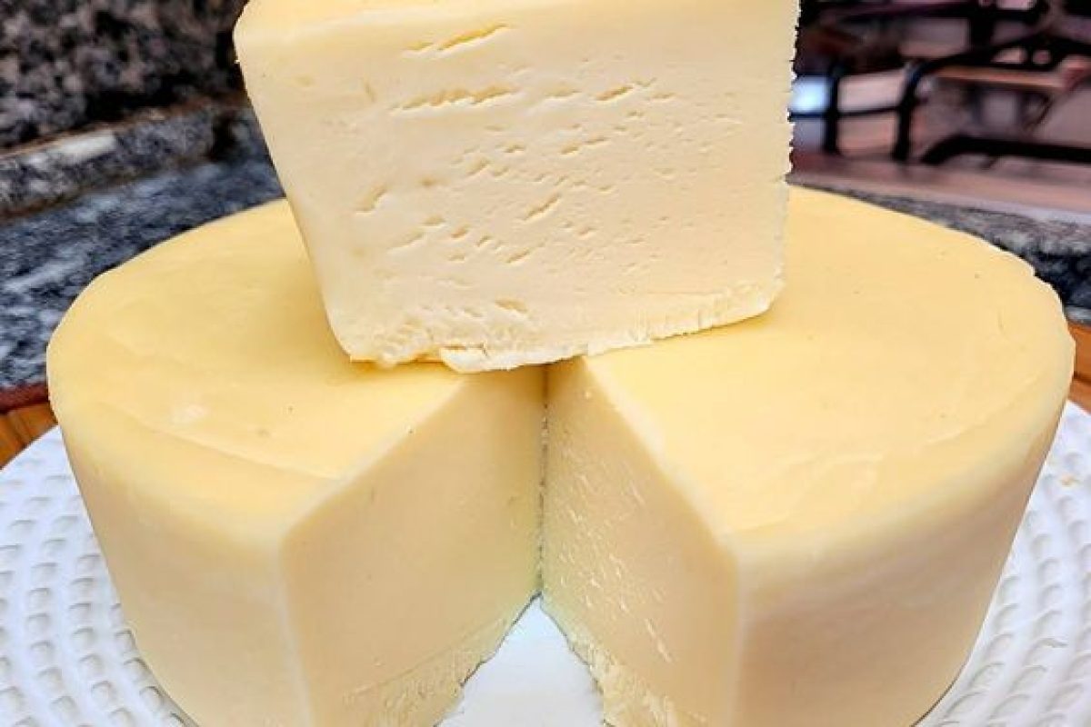 A Escolha do Leite: O Segredo de um Bom Queijo Começa Aqui - inspiração 2