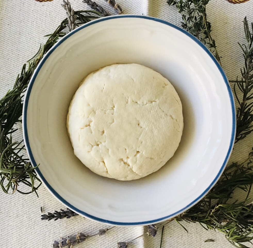 Fermentos e Coalhos: Seus Aliados na Transformação Láctea - inspiração 1