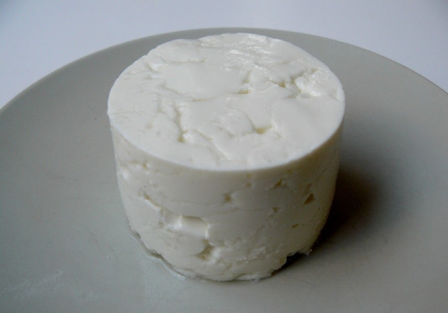 Fermentos e Coalhos: Seus Aliados na Transformação Láctea - inspiração 2