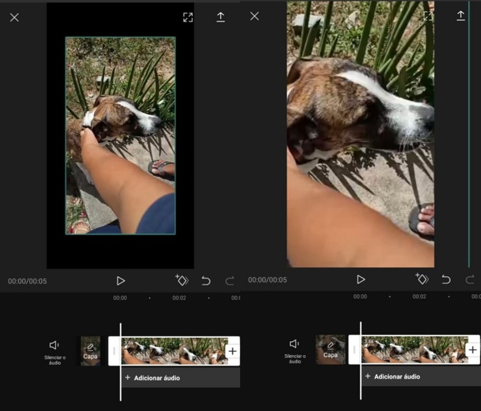 Zoom Manual: O Controle Total em Suas Mãos - inspiração 1