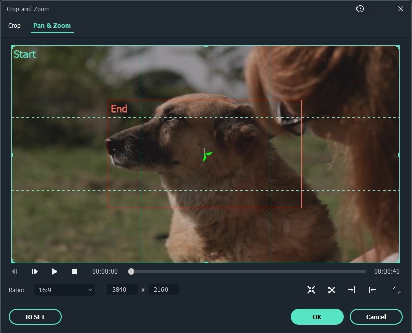 Dicas de Ouro para um Zoom Sem Erros - inspiração 1