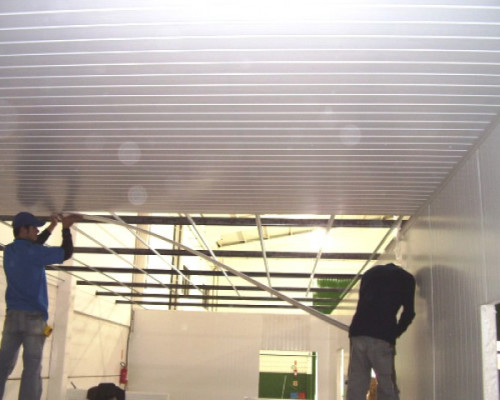 Antes de Começar: O Que Você Precisa Saber e Reunir - inspiração 1