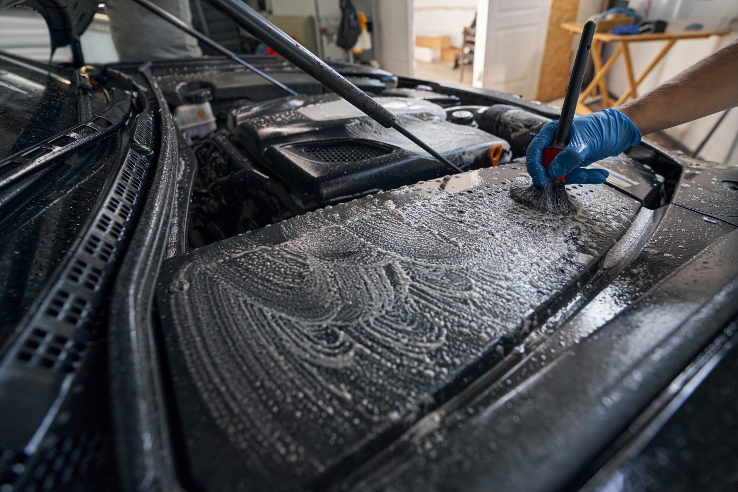 Manutenção Pós-Limpeza: O Que Observar na Próxima Vez - inspiração 1