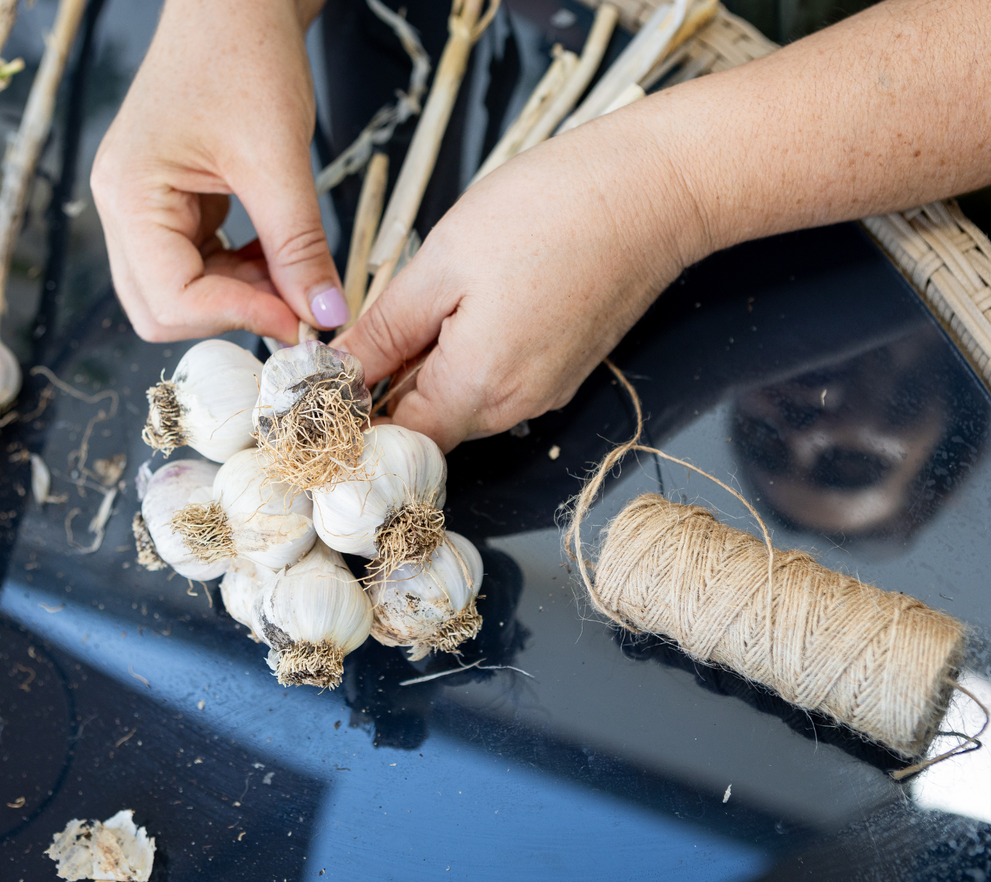 A Técnica Certa de Plantio: Mergulhando o Dente na Terra - inspiração 2
