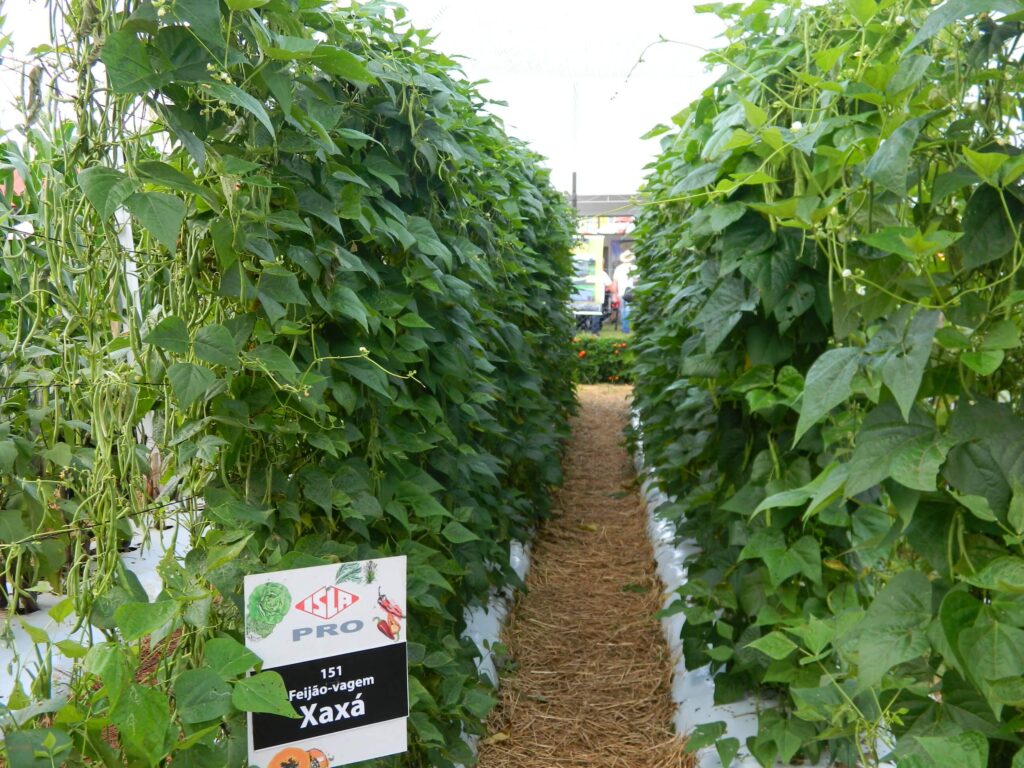 Controle de Pragas e Doenças Sem Complicação - inspiração 2