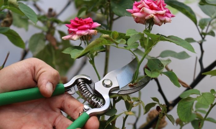 Ferramentas certas para um corte preciso - inspiração 1