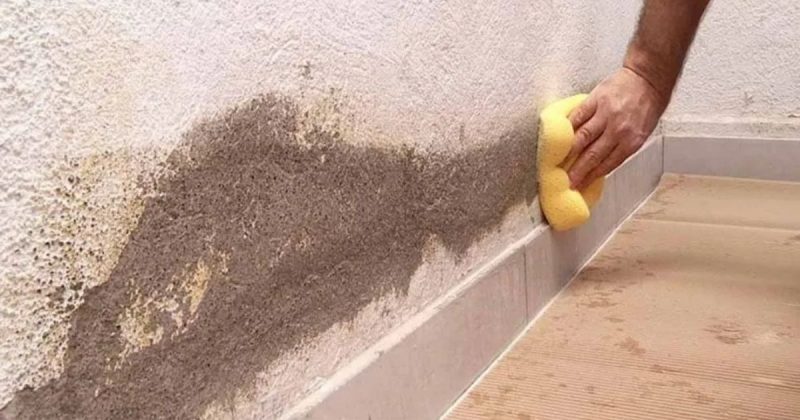 Produtos Específicos: Armas Secretas Contra o Mofo Persistente - inspiração 2