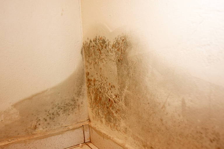 A Importância da Ventilação: Seu Aliado Contra a Umidade - inspiração 2