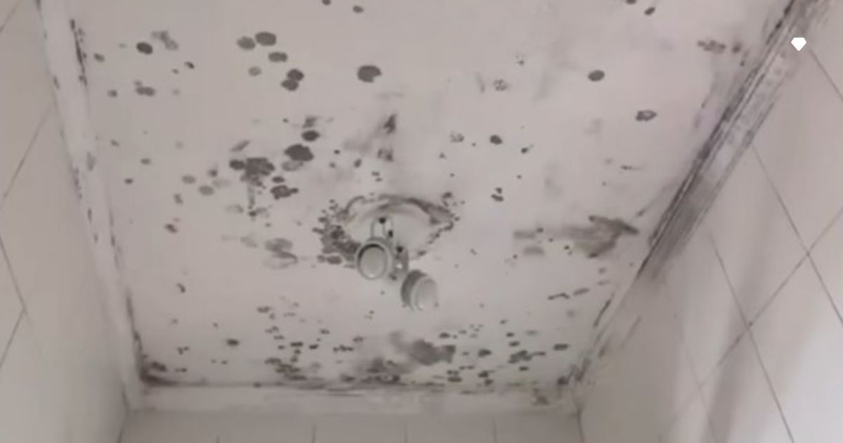 Pintura e Revestimentos: Barreiras Eficazes Contra Futuros Problemas - inspiração 1