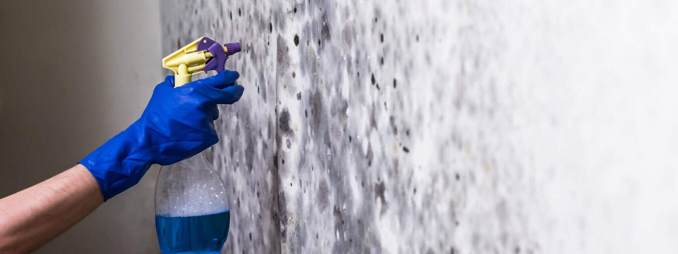 Umidade em Áreas Específicas: Banheiros e Cozinhas Sob Controle - inspiração 2