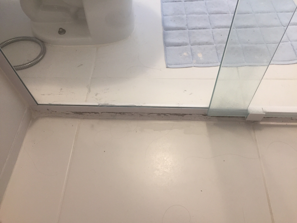 Preparando a Superfície: Limpeza é Fundamental - inspiração 1