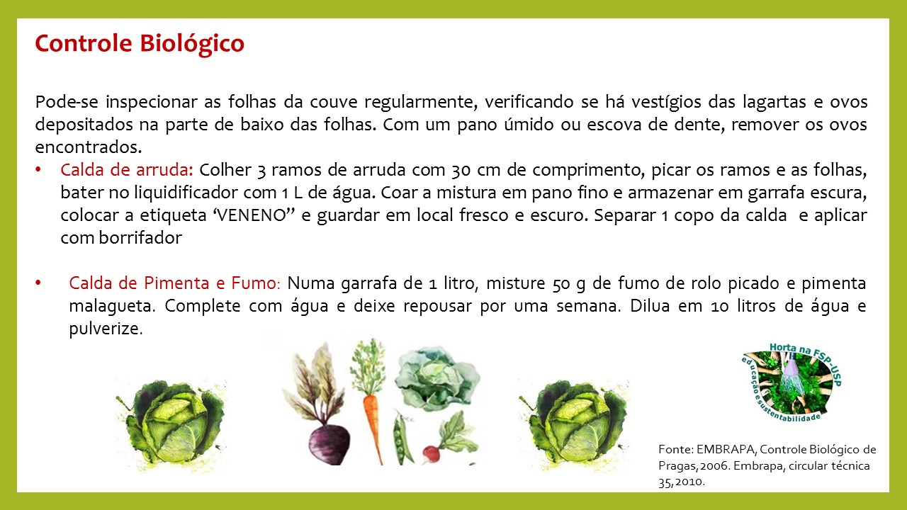 Os Aliados Inesperados: Insetos Benéficos que Você Precisa Conhecer - inspiração 1