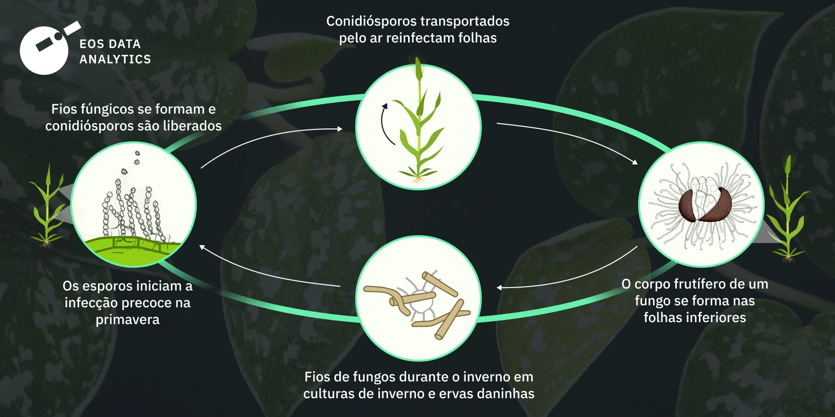 Técnicas de Aplicação Eficazes para Maximizar o Efeito - inspiração 1
