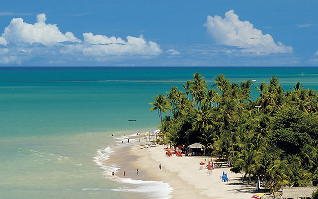 Gastronomia Local: Sabores Que Conquistam - inspiração 1