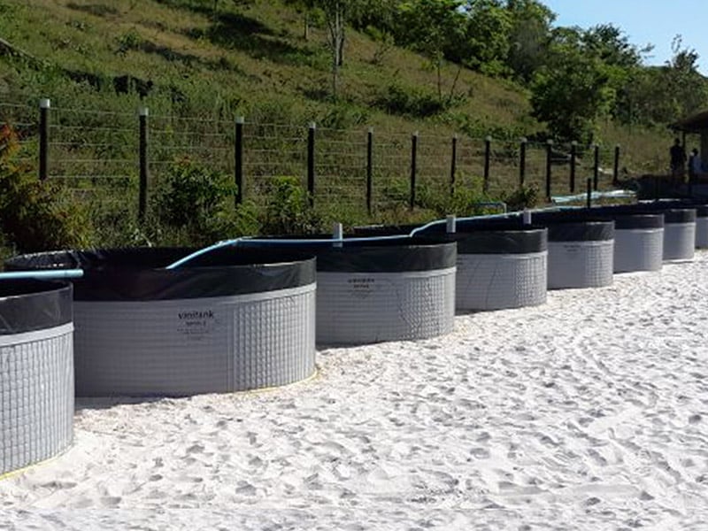 Promova a Biodiversidade no Seu Entorno - inspiração 1