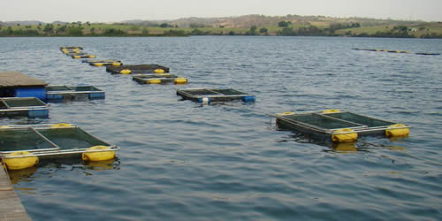 Otimize o Uso da Água no Seu Sistema - inspiração 2