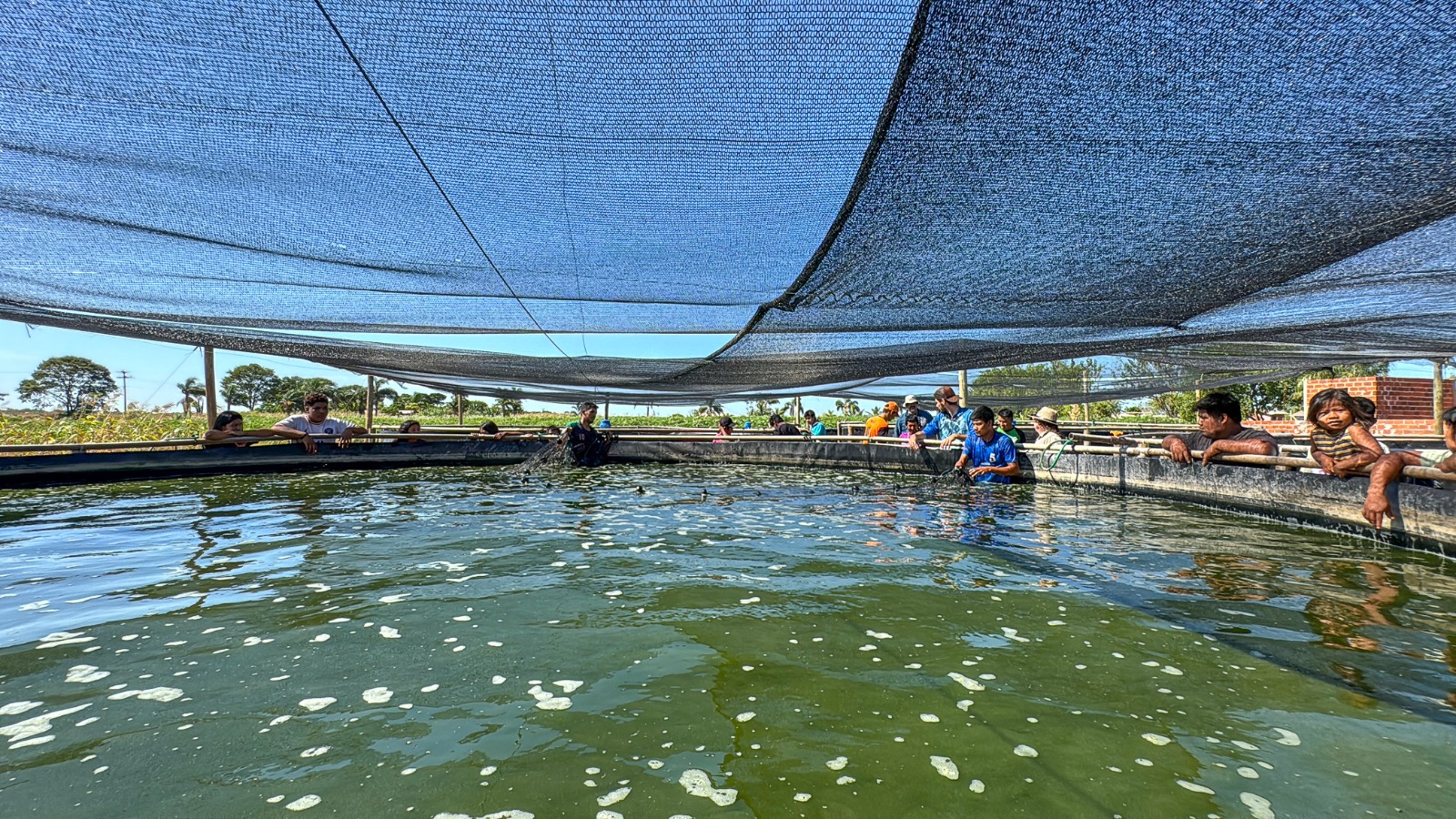 Diversifique Sua Produção e Sua Renda - inspiração 2