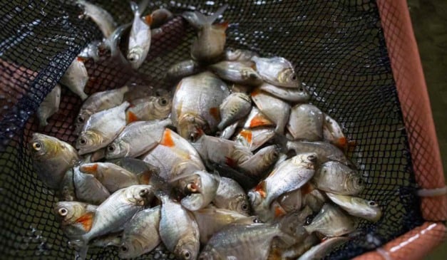 Aproveite Espaços que Antes Estavam Ociosos - inspiração 1