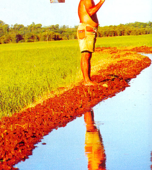 Aproveite Espaços que Antes Estavam Ociosos - inspiração 2