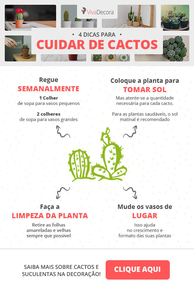 O Segredo da Rega: Menos é Mais para Essas Plantas - inspiração 2