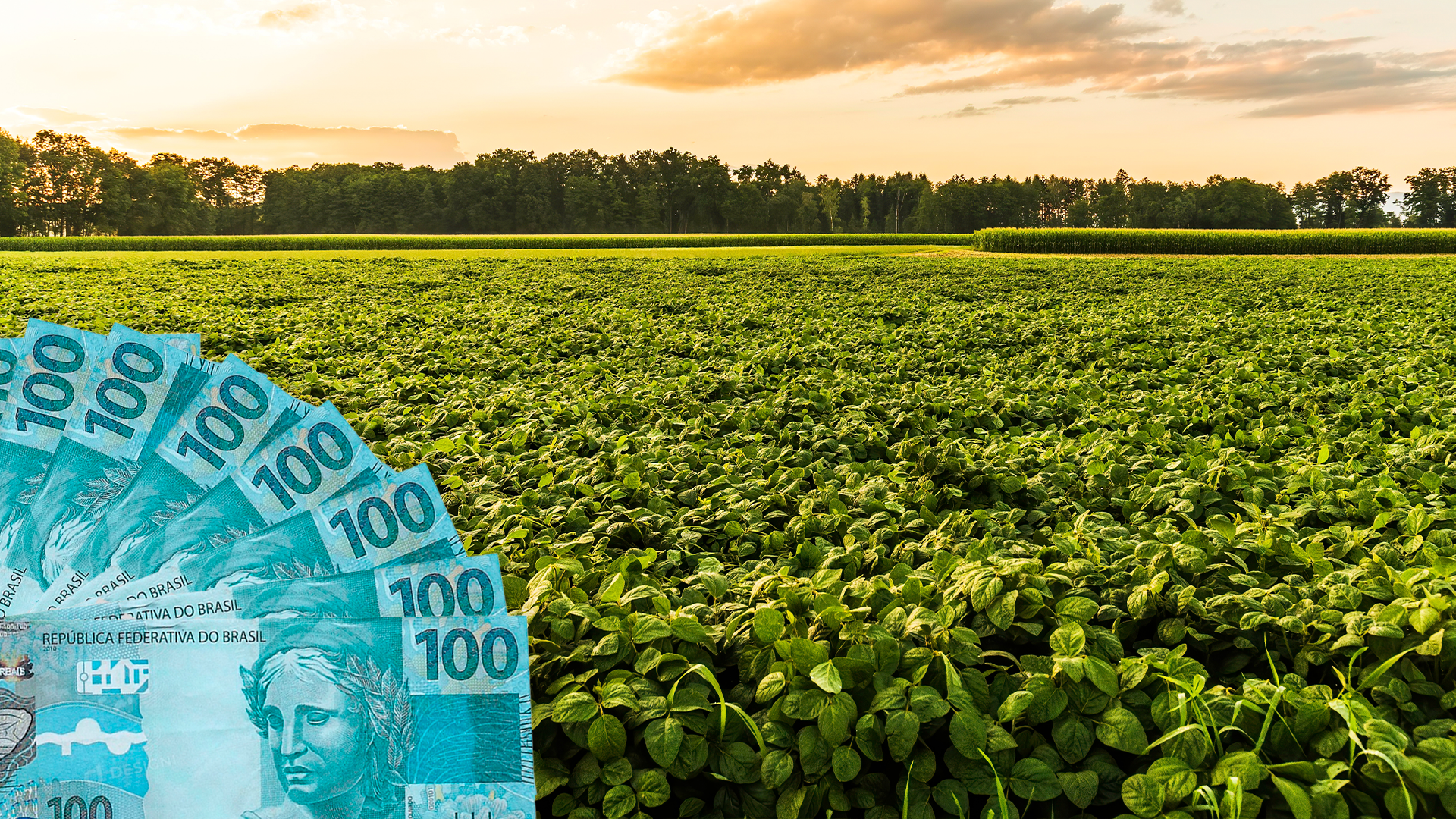 Maquinário Agrícola: Custos de Operação e Manutenção da Sua Frota - inspiração 2