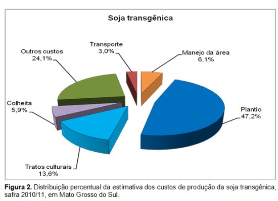 Mão de Obra: O Valor Humano na Produção da Soja - inspiração 1