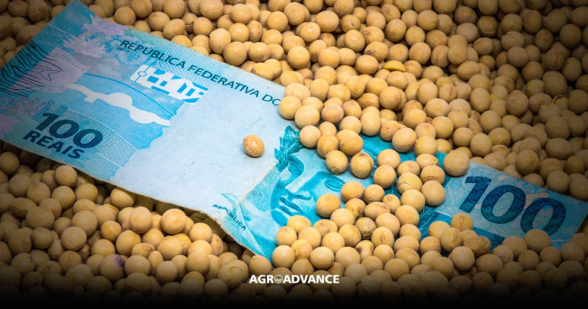 Seguro Agrícola: Tranquilidade Financeira Para Sua Safra - inspiração 1