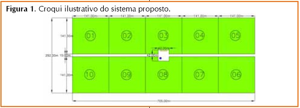 Por Que Dividir? Os Benefícios Reais Para Seu Rebanho e Seu Bolso - inspiração 1