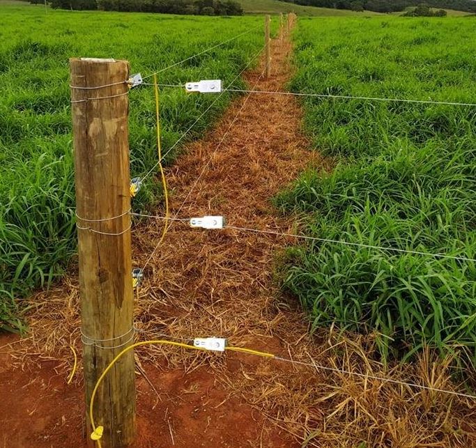 Monitoramento e Ajustes: Mantendo o Sistema Sempre Afiado - inspiração 2