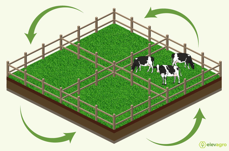 Mapeamento do Terreno: A Base Para uma Divisão Eficiente - inspiração 2