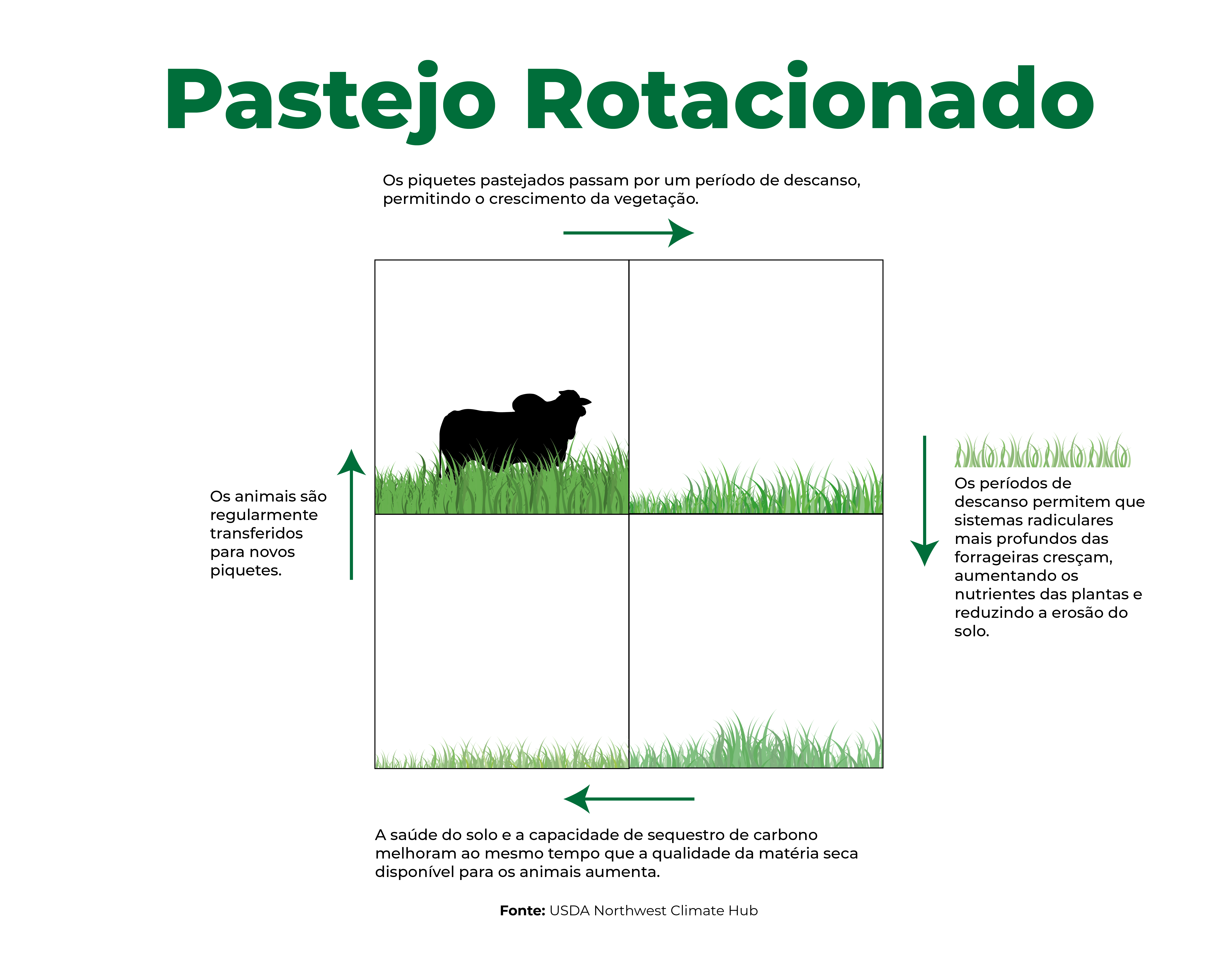 Acesso à Água: Ponto Crucial na Criação de Cada Piquete - inspiração 1