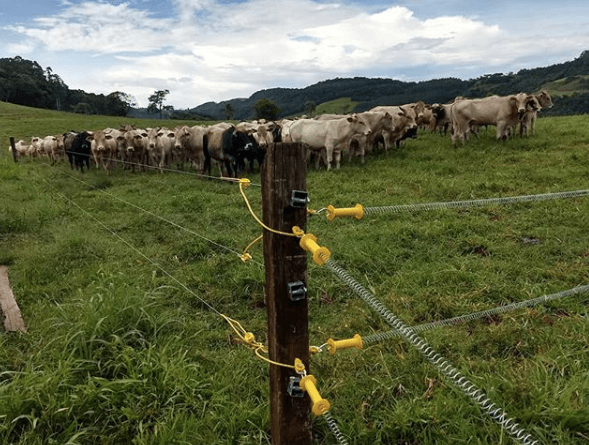 Divisões Temporárias vs. Permanentes: Qual a Melhor Opção? - inspiração 1