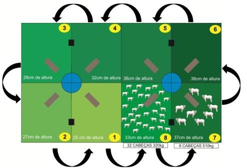 O Impacto da Topografia na Definição dos Limites - inspiração 1