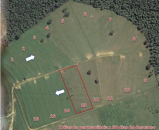 Planejamento do Fluxo de Animais Entre os Piquetes - inspiração 1