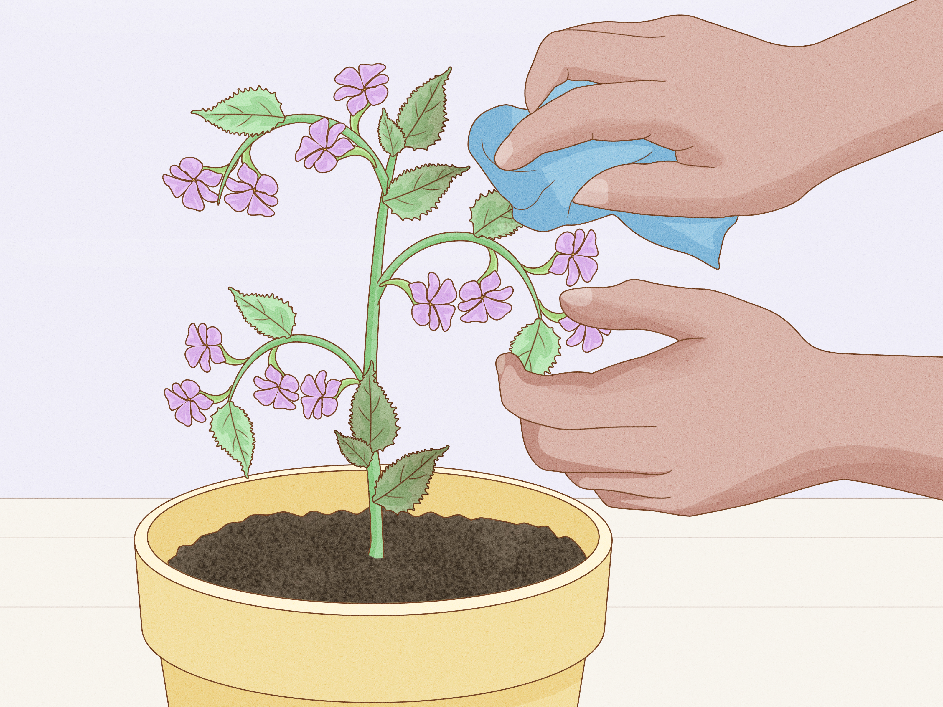 A Importância da Luz Solar: Deixando o Sol Afastar os Fungos Indesejados - inspiração 1