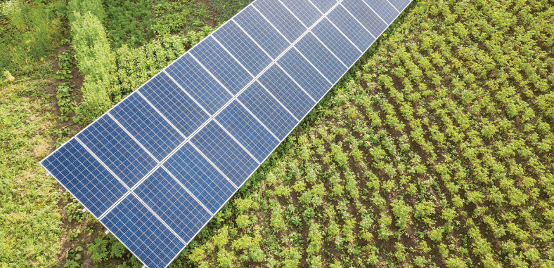 Incentivos e Financiamentos Para Facilitar Sua Vida - inspiração 2