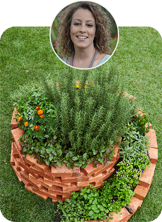O Solo Perfeito: Mistura para Cada Zona da Espiral - inspiração 1