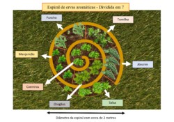 O Plantio Estratégico: Da Base ao Topo - inspiração 2