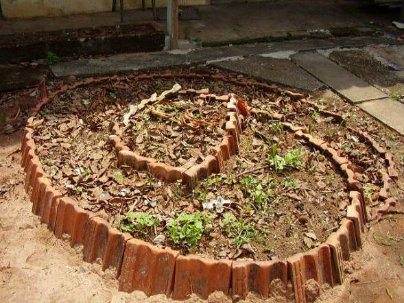 Irrigação Consciente: Água na Medida Certa para Cada Planta - inspiração 1