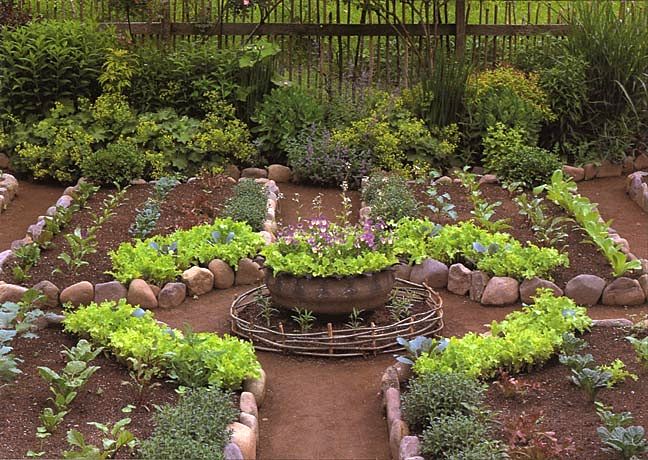 Irrigação Consciente: Água na Medida Certa para Cada Planta - inspiração 2