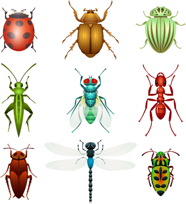 Acessórios que Fazem a Diferença nas Fotos de Bichos - inspiração 2