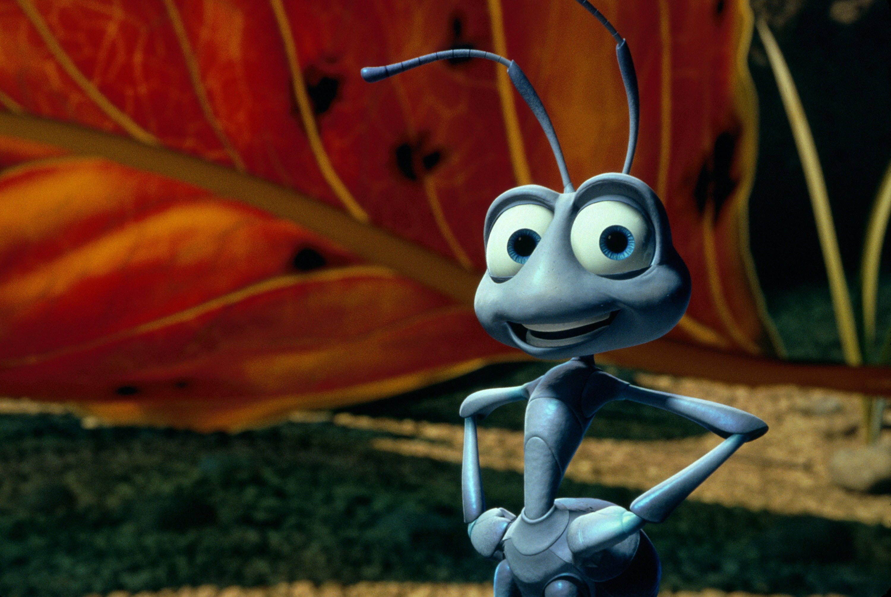 Iluminação Certa: Segredos para Fotos de Bichos Incríveis - inspiração 2