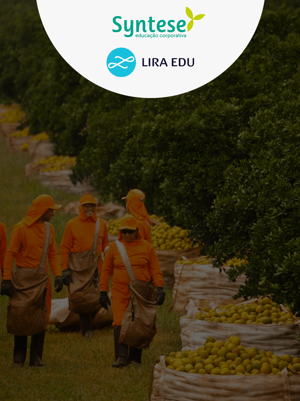 Pontos de Vitórias: Recompensas que Motivaram o Aprendizado Contínuo - inspiração 2