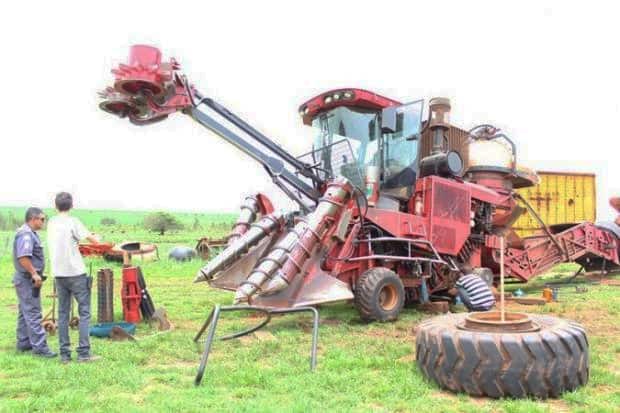 O Placar da Produtividade: Medindo o Impacto da Gamificação - inspiração 1