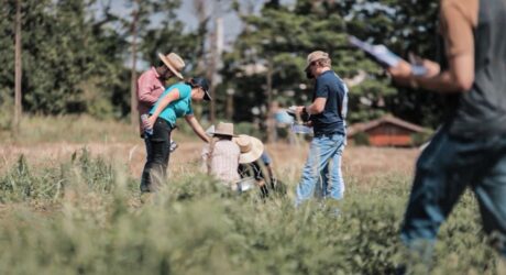 O Placar da Produtividade: Medindo o Impacto da Gamificação - inspiração 2