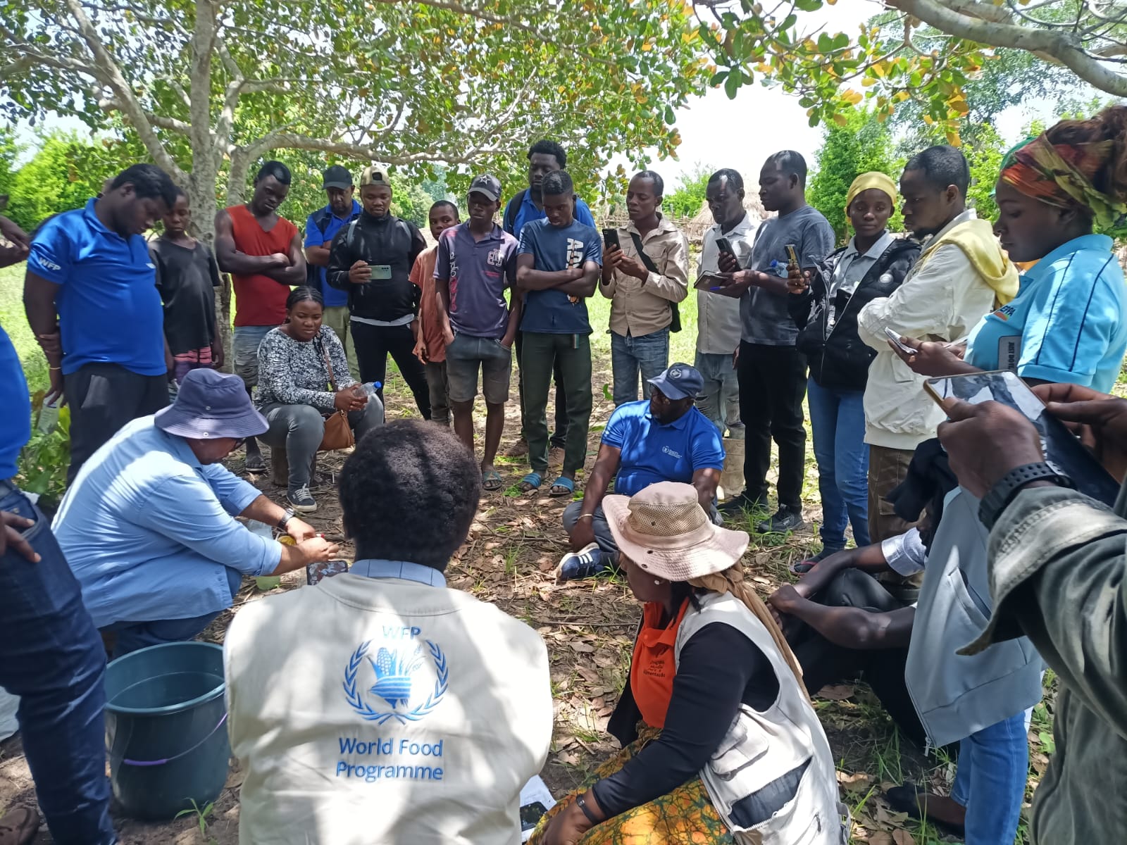 Além do Jogo: Incorporando a Lógica Lúdica no Dia a Dia da Fazenda - inspiração 2