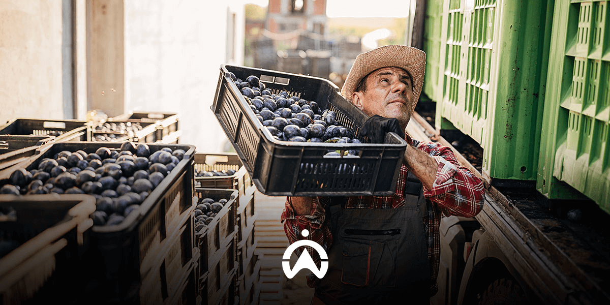 Análise de Desempenho: Identificando Gargalos e Melhorias - inspiração 1