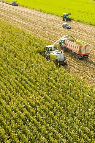 Registro de Atividades: Dados Precisos para Decisões Inteligentes - inspiração 1