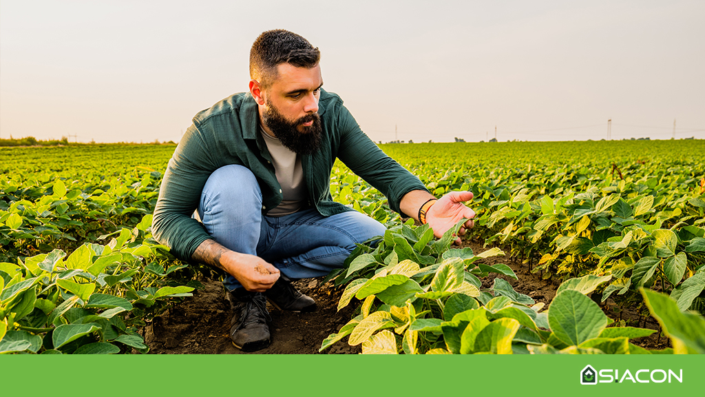 Planejamento Sucessório e Proteção Patrimonial: Pensando no Futuro - inspiração 2