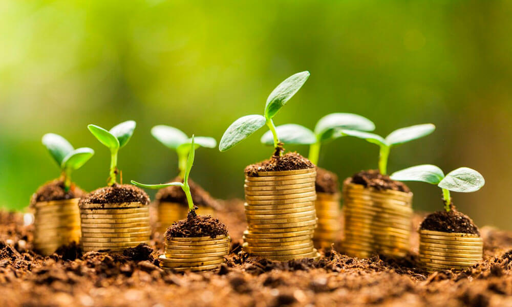 Orçamento Rural Inteligente: Planejando Receitas e Despesas - inspiração 1